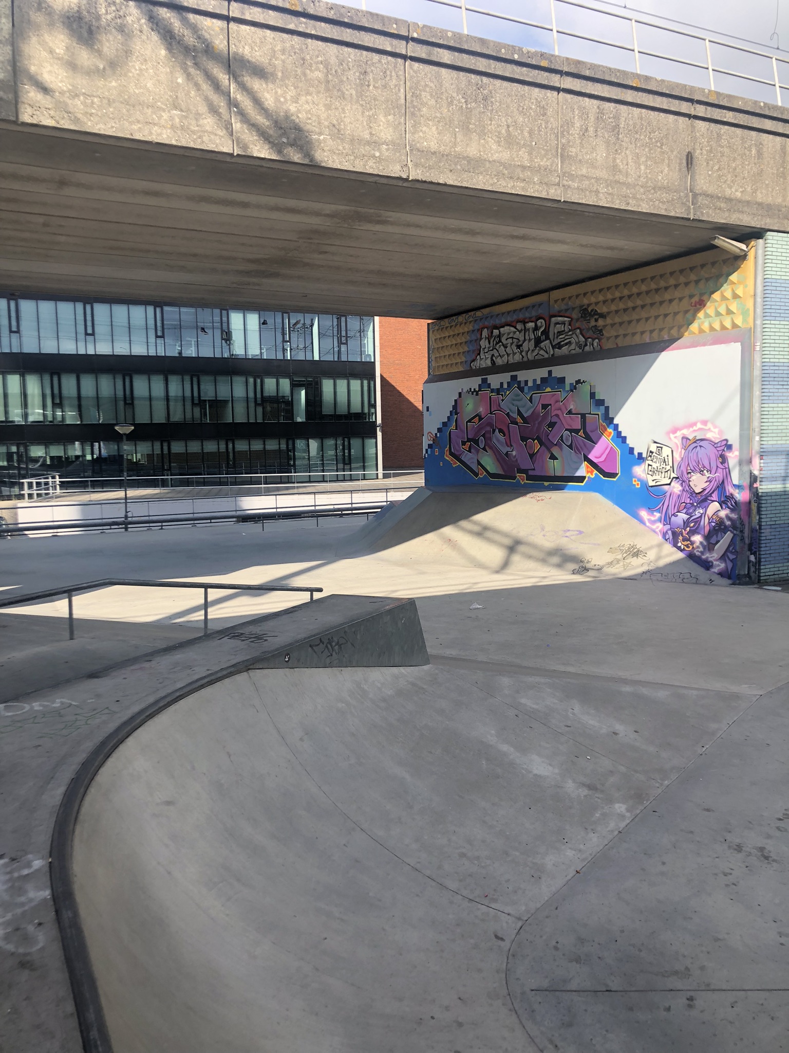 Dordrecht Maasplaza skatepark